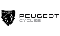 Réparation vélo Peugeot Marseille
